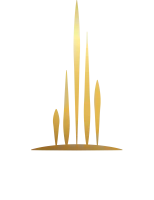 LOGO MAXXIMUS-01